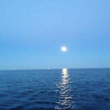 Tjodalyng - Ved Viksfjord - Sokkelleilighet لارفيك المظهر الخارجي الصورة