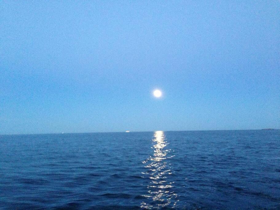 Tjodalyng - Ved Viksfjord - Sokkelleilighet لارفيك المظهر الخارجي الصورة