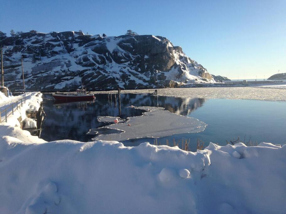 Tjodalyng - Ved Viksfjord - Sokkelleilighet لارفيك المظهر الخارجي الصورة